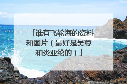 谁有飞轮海的资料和图片(最好是吴尊和炎亚纶的)