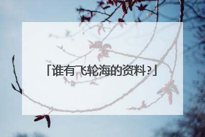 谁有飞轮海的资料?
