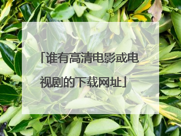 谁有高清电影或电视剧的下载网址