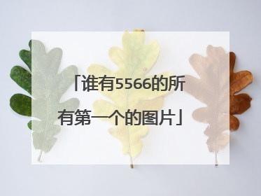 谁有5566的所有第一个的图片
