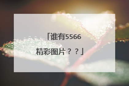 谁有5566精彩图片??