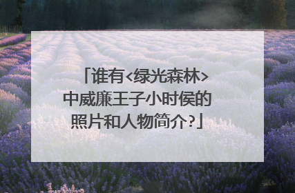 谁有<绿光森林>中威廉王子小时侯的照片和人物简介?
