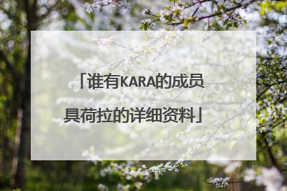 谁有KARA的成员具荷拉的详细资料