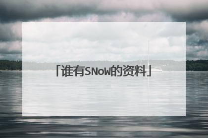谁有SNoW的资料