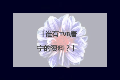 谁有TVB唐宁的资料?
