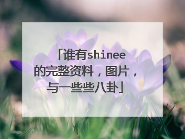 谁有shinee的完整资料,图片,与一些些八卦