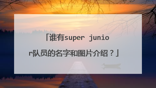 谁有super junior队员的名字和图片介绍?