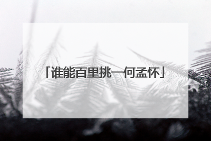 谁能百里挑一何孟怀