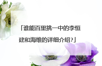 谁能百里挑一中的李恒建和海维的详细介绍?