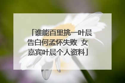 谁能百里挑一叶晨告白何孟怀失败 女嘉宾叶晨个人资料