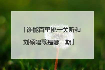 谁能百里挑一关昕和刘硕唱歌是哪一期