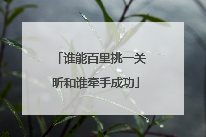 谁能百里挑一关昕和谁牵手成功
