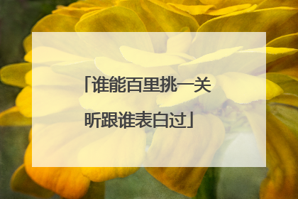 谁能百里挑一关昕跟谁表白过