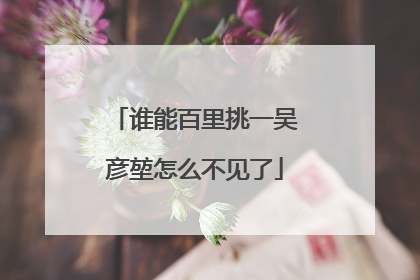 谁能百里挑一吴彦堃怎么不见了