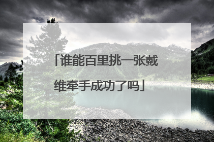 谁能百里挑一张戴维牵手成功了吗