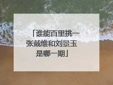 谁能百里挑一张戴维和刘景玉是哪一期