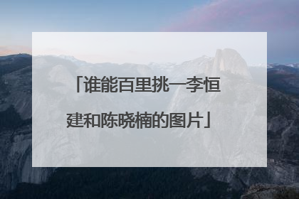 谁能百里挑一李恒建和陈晓楠的图片