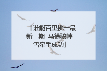 谁能百里挑一最新一期 马徐骏韩雪牵手成功