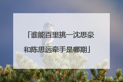 谁能百里挑一沈思豪和陈思远牵手是哪期