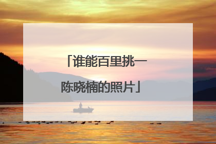 谁能百里挑一陈晓楠的照片