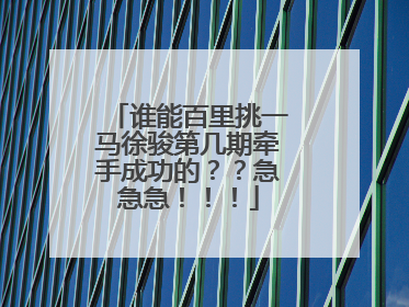 谁能百里挑一马徐骏第几期牵手成功的??急急急!!!