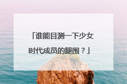 谁能目测一下少女时代成员的腿围？