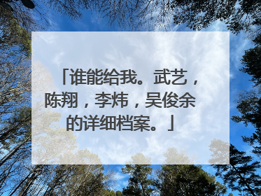 谁能给我。武艺，陈翔，李炜，吴俊余的详细档案。