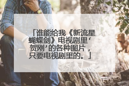 谁能给我《新流星蝴蝶剑》电视剧里‘贺刚’的各种图片,只要电视剧里的。