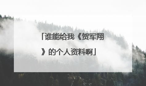 谁能给我《贺军翔》的个人资料啊
