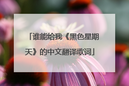 谁能给我《黑色星期天》的中文翻译歌词