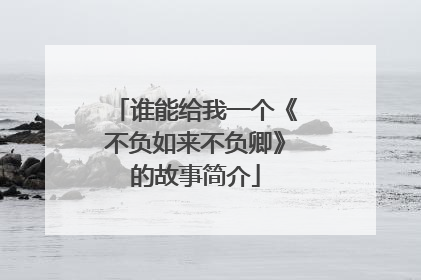 谁能给我一个《不负如来不负卿》的故事简介