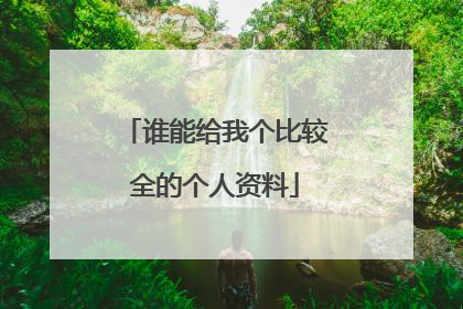 谁能给我个比较全的个人资料