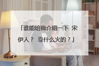 谁能给我介绍一下 宋伊人? 靠什么火的?
