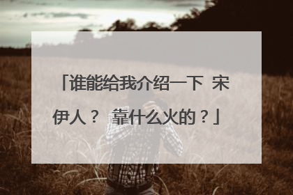 谁能给我介绍一下 宋伊人？ 靠什么火的？