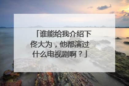 谁能给我介绍下佟大为,他都演过什么电视剧啊?