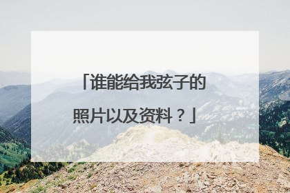 谁能给我弦子的照片以及资料?