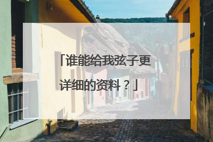 谁能给我弦子更详细的资料？