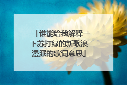 谁能给我解释一下苏打绿的新歌浪漫派的歌词意思