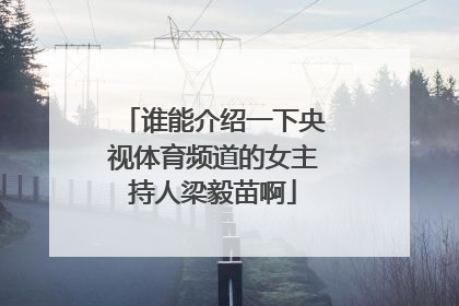 谁能介绍一下央视体育频道的女主持人梁毅苗啊