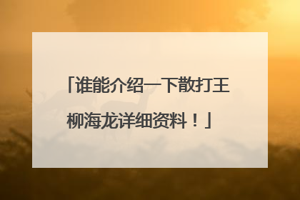 谁能介绍一下散打王柳海龙详细资料！