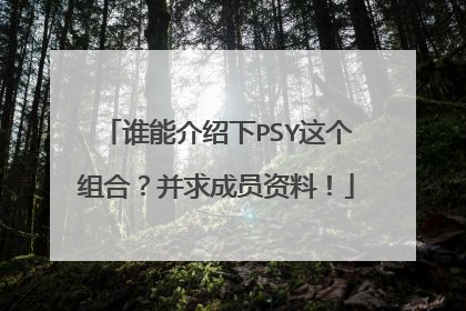 谁能介绍下PSY这个组合？并求成员资料！