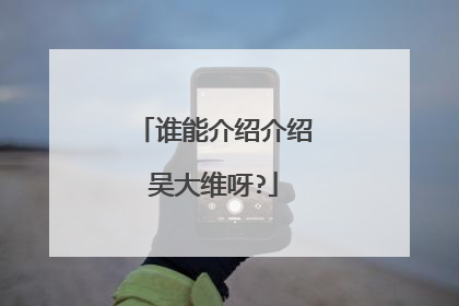 谁能介绍介绍吴大维呀?
