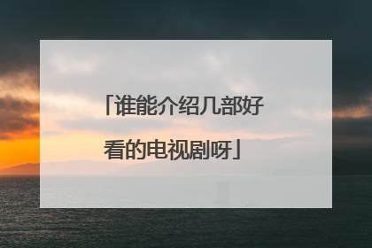 谁能介绍几部好看的电视剧呀