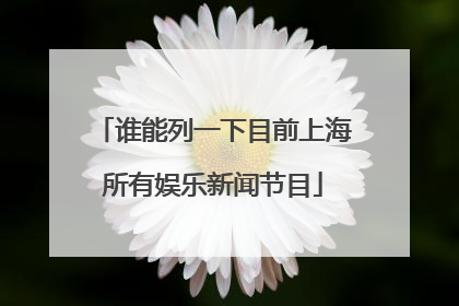 谁能列一下目前上海所有娱乐新闻节目