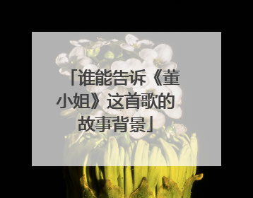 谁能告诉《董小姐》这首歌的故事背景