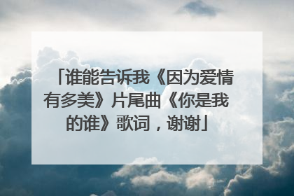 谁能告诉我《因为爱情有多美》片尾曲《你是我的谁》歌词，谢谢
