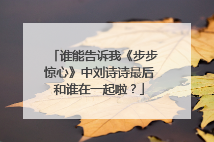 谁能告诉我《步步惊心》中刘诗诗最后和谁在一起啦？