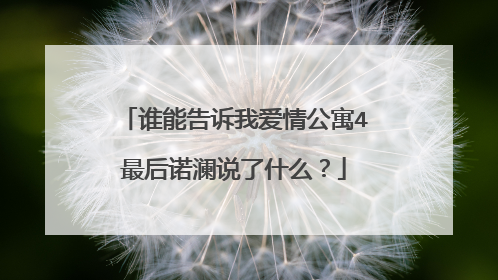 谁能告诉我爱情公寓4最后诺澜说了什么？
