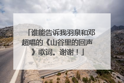 谁能告诉我羽泉和邓超唱的《山谷里的回声》歌词。谢谢！