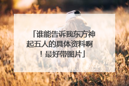 谁能告诉我东方神起五人的具体资料啊！最好带图片